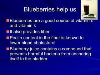 Blueberries help us Blueberries are a good source of vitamin c and vitamin k It also provides fiber Pectin content in the fiber is known to lower blood cholesterol Blueberry juice contains a compound that prevents harmful bacteria from anchoring itself to the bladder  