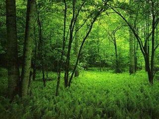 Racso 40 dia 2  parte 1 b DE SOID ATEFORP AIPAT SADAJUP DE RACSO