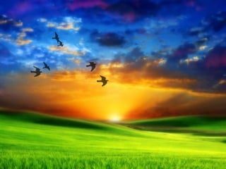 Racso 40 dia 2  parte 1 b DE SOID ATEFORP AIPAT SADAJUP DE RACSO