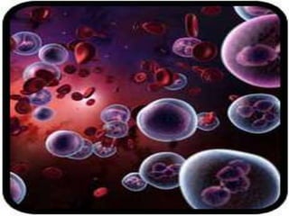 Racso 40 dia 2  parte 1 b DE SOID ATEFORP AIPAT SADAJUP DE RACSO