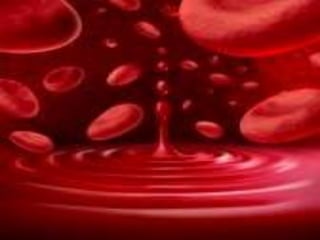 Racso 40 dia 2  parte 1 b DE SOID ATEFORP AIPAT SADAJUP DE RACSO