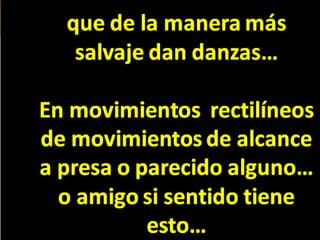 Racso 40 dia 2  parte 1 b DE SOID ATEFORP AIPAT SADAJUP DE RACSO