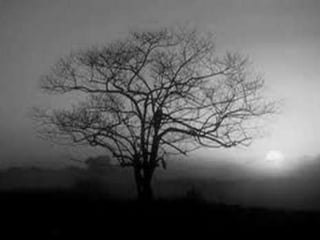 Racso 40 dia 2  parte 1 b DE SOID ATEFORP AIPAT SADAJUP DE RACSO