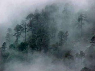 Racso 40 dia 2  parte 1 b DE SOID ATEFORP AIPAT SADAJUP DE RACSO