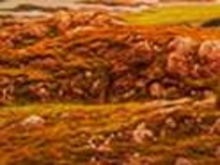 Racso 40 dia 2  parte 1 b DE SOID ATEFORP AIPAT SADAJUP DE RACSO