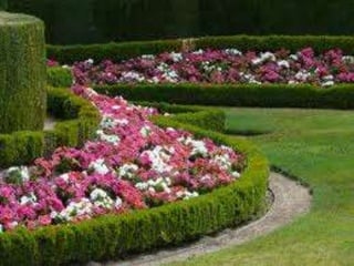 Racso 40 dia 2  parte 1 b DE SOID ATEFORP AIPAT SADAJUP DE RACSO