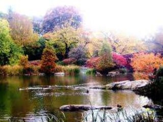 Racso 40 dia 2  parte 1 b DE SOID ATEFORP AIPAT SADAJUP DE RACSO