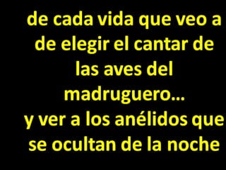 Racso 40 dia 2  parte 1 b DE SOID ATEFORP AIPAT SADAJUP DE RACSO