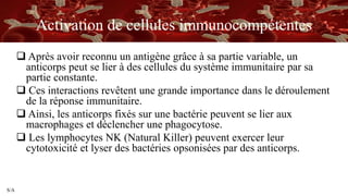 S/A
Activation de cellules immunocompétentes
 Après avoir reconnu un antigène grâce à sa partie variable, un
anticorps peut se lier à des cellules du système immunitaire par sa
partie constante.
 Ces interactions revêtent une grande importance dans le déroulement
de la réponse immunitaire.
 Ainsi, les anticorps fixés sur une bactérie peuvent se lier aux
macrophages et déclencher une phagocytose.
 Les lymphocytes NK (Natural Killer) peuvent exercer leur
cytotoxicité et lyser des bactéries opsonisées par des anticorps.
 