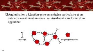 S/A
Agglutination : Réaction entre un antigène particulaire et un
anticorps constituant un réseau se visualisant sous forme d’un
agglutinat
anticorps antigène particulaire
 