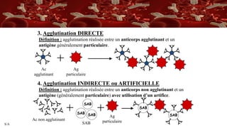 S/A
3. Agglutination DIRECTE
Définition : agglutination réalisée entre un anticorps agglutinant et un
antigène généralement particulaire.
4. Agglutination INDIRECTE ou ARTIFICIELLE
Définition : agglutination réalisée entre un anticorps non agglutinant et un
antigène (généralement particulaire) avec utilisation d’un artifice.
Ac
agglutinant
Ag
particulaire
SAB
SAB
SAB SAB
Ac non agglutinant
SAB
Ag
particulaire
SAB
 