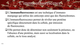 S/A
L’immunofluorescence
 L’immunofluorescence est une technique d’immuno-
marquage qui utilise des anticorps ainsi que des fluorochromes.
 L'immunofluorescence permet de révéler une protéine
spécifique directement dans la cellule, par émission
de fluorescence.
 Elle permet donc de déterminer non seulement la présence, ou
l'absence d'une protéine, mais aussi sa localisation dans la
cellule, ou le tissu analysé.
 