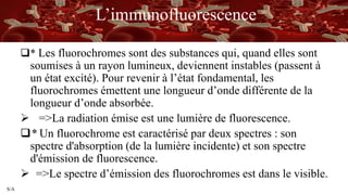 S/A
L’immunofluorescence
* Les fluorochromes sont des substances qui, quand elles sont
soumises à un rayon lumineux, deviennent instables (passent à
un état excité). Pour revenir à l’état fondamental, les
fluorochromes émettent une longueur d’onde différente de la
longueur d’onde absorbée.
 =>La radiation émise est une lumière de fluorescence.
* Un fluorochrome est caractérisé par deux spectres : son
spectre d'absorption (de la lumière incidente) et son spectre
d'émission de fluorescence.
 =>Le spectre d’émission des fluorochromes est dans le visible.
 
