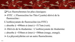 S/A
*Les fluorochromes les plus classiques:
-FITC : ( Fluorescéine Iso Thio Cyanite) dérivé de la
fluorescéine :
L’isothiocyanate de fluorescéine (ou FITC)
o absorbe à =490nm et émet à =517nm (vert).
-Dérivés de la rhodamine : L’isothiocyanate de rhodamine
o absorbe à =550nm et émet à =580nm (rouge, orangé).
-La phycoérythrine est un autre fluorochrome.
 