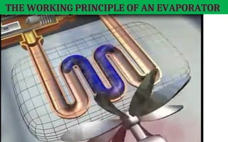 THE WORKING PRINCIPLE OF AN EVAPORATOR
 