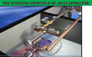 THE WORKING PRINCIPLE OF AN EVAPORATOR
 