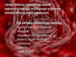 Do układu chłonnego należą:
-węzły i naczynia chłonne
-migdałki
-skupienia tkanki chłonnej w
jelitach (kępki Peyera),
-śledziona
-grasica
-szpik kostny
Układ chłonny jest częścią układu
odpornościowego, broniącego organizm
miedzy innymi przed infekcjami.
 