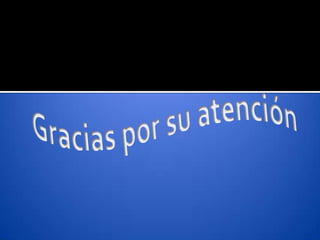 Gracias por su atención 