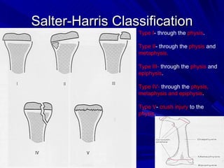diagnostico por imagen musculo esqueletico | PPT