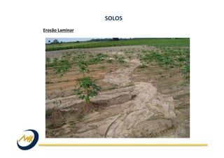 Erosão	
  Laminar	
  
SOLOS	
  
 