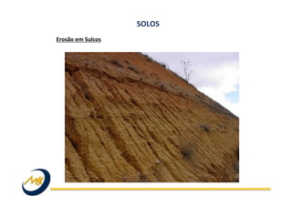 Erosão	
  em	
  Sulcos	
  
SOLOS	
  
 