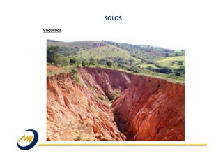 Voçoroca	
  
SOLOS	
  
 