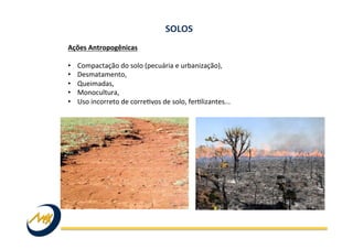 Ações	
  Antropogênicas	
  	
  
	
  
•  Compactação	
  do	
  solo	
  (pecuária	
  e	
  urbanização),	
  	
  
•  Desmatamento,	
  
•  Queimadas,	
  	
  
•  Monocultura,	
  	
  
•  Uso	
  incorreto	
  de	
  correIvos	
  de	
  solo,	
  ferIlizantes...	
  	
  
SOLOS	
  
 