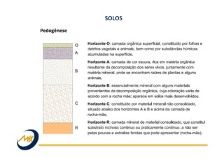 Pedogênese	
  
	
  
	
  
SOLOS	
  
 