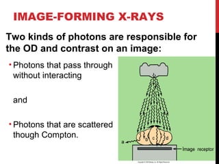 scatter radiation scatter radiation