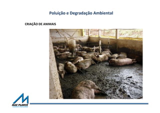 Poluição	
  e	
  Degradação	
  Ambiental	
  
CRIAÇÃO	
  DE	
  ANIMAIS	
  	
  
 