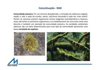Comunidade	
  pioneira:	
  Em	
  um	
  terreno	
  abandonado,	
  a	
  remoção	
  da	
  cobertura	
  vegetal,	
  
expõe	
  o	
  solo	
  a	
  ação	
  da	
  erosão,	
  vento,	
  sol/chuva	
  tornando-­‐o	
  cada	
  vez	
  mais	
  estéril.	
  
Porém	
  na	
  natureza	
  existem	
  organismos	
  menos	
  exigentes	
  (cianobactérias	
  e	
  liquens),	
  
esses	
  são	
  talvez	
  os	
  primeiros	
  organismos	
  a	
  se	
  estabelecerem	
  em	
  uma	
  área	
  como	
  essa	
  
descrita	
   é	
   também	
   um	
   exemplo	
   de	
   comunidade	
   pioneira.	
   As	
   condições	
   ambientais	
  
adversas	
  são	
  um	
  fator	
  determinante	
  para	
  esse	
  Vpo	
  de	
  comunidade	
  apresentar	
  uma	
  
baixa	
  variedade	
  de	
  espécies.	
  
	
  
Conceituação	
  -­‐	
  RAD	
  
 