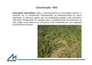 Comunidade	
   Intermediária:	
   Após	
   o	
   desenvolvimento	
   da	
   comunidade	
   pioneira,	
   o	
  
ambiente	
   vai	
   se	
   transformado	
   favoravelmente	
   ao	
   desenvolvimento	
   de	
   outros	
  
organismos.	
   A	
   cobertura	
   vegetal	
   uma	
   vez	
   estabelecida	
   protege	
   o	
   solo	
   tornando-­‐o	
  
mais	
   férVl.	
   Considerando	
   um	
   exemplo,	
   após	
   o	
   estabelecimento	
   das	
   gramíneas	
   no	
  
solo,	
   surgem	
   ervas	
   diversas	
   que	
   aos	
   poucos	
   serão	
   subsVtuídas	
   por	
   uma	
   vegetação	
  
provavelmente	
  arbusVva.	
  
Conceituação	
  -­‐	
  RAD	
  
 