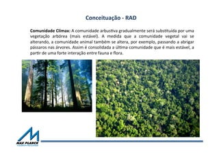 Comunidade	
  Clímax:	
  A	
  comunidade	
  arbusVva	
  gradualmente	
  será	
  subsVtuída	
  por	
  uma	
  
vegetação	
   arbórea	
   (mais	
   estável).	
   A	
   medida	
   que	
   a	
   comunidade	
   vegetal	
   vai	
   se	
  
alterando,	
  a	
  comunidade	
  animal	
  também	
  se	
  altera,	
  por	
  exemplo,	
  passando	
  a	
  abrigar	
  
pássaros	
  nas	
  árvores.	
  Assim	
  é	
  consolidada	
  a	
  úlVma	
  comunidade	
  que	
  é	
  mais	
  estável,	
  a	
  
parVr	
  de	
  uma	
  forte	
  interação	
  entre	
  fauna	
  e	
  ﬂora.	
  
	
  
Conceituação	
  -­‐	
  RAD	
  
 