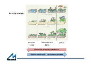 Complexidade	
  Estrutural	
  e	
  Funcional	
  do	
  Ecossistema	
  
Variabilidade	
  das	
  Condições	
  Ambientais	
  
Pioneiras	
  
Ecese	
  
Intermediárias	
  
Seres	
  
Climáx	
  
Sucessão	
  ecológica	
  	
  
 