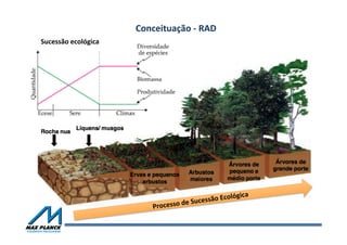 Processo	
  de	
  Sucessão	
  Ecológica	
  
Conceituação	
  -­‐	
  RAD	
  
Sucessão	
  ecológica	
  	
  
 