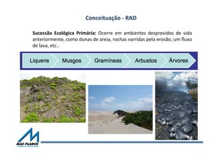 Conceituação	
  -­‐	
  RAD	
  
Sucessão	
   Ecológica	
   Primária:	
   Ocorre	
   em	
   ambientes	
   desprovidos	
   de	
   vida	
  
anteriormente,	
  como	
  dunas	
  de	
  areia,	
  rochas	
  varridas	
  pela	
  erosão,	
  um	
  ﬂuxo	
  
de	
  lava,	
  etc..	
  
 