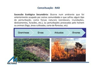 Conceituação	
  -­‐	
  RAD	
  
Sucessão	
   Ecológica	
   Secundária:	
   Ocorre	
   num	
   ambiente	
   que	
   foi	
  
anteriormente	
  ocupado	
  por	
  outras	
  comunidades	
  e	
  que	
  sofreu	
  algum	
  Vpo	
  
de	
   perturbação,	
   como	
   forças	
   naturais	
   (vendavais,	
   inundações,	
  
deslizamentos,	
   furacões,	
   etc.),	
   ou	
   perturbações	
   provocadas	
   pelo	
   homem	
  
ou	
  animais	
  (fogo,	
  áreas	
  culVvadas,	
  corte	
  de	
  ﬂorestas,	
  etc).	
  
 