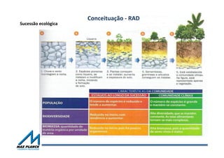 Sucessão	
  ecológica	
  	
  
Conceituação	
  -­‐	
  RAD	
  
 