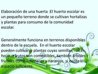 Elaboración de una huerta :El huerto escolar es
un pequeño terreno donde se cultivan hortalizas
y plantas para consumo de la comunidad
escolar.
Generalmente funciona en terrenos disponibles
dentro de la escuela. En el huerto escolar
pueden cultivarse plantas cuyas semillas, raíces,
hojas o frutos son comestibles, también árboles
frutales como limoneros y naranjos, si existe el
espacio suficiente.

 