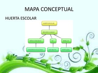 MAPA CONCEPTUAL
HUERTA ESCOLAR

 
