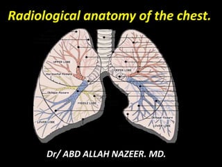 Radiological anatomy of the chest.
Dr/ ABD ALLAH NAZEER. MD.
 