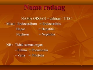 Nama radang
          NAMA ORGAN + akhiran ‘ ITIS ‘
Misal : Endocardium = Endocarditis
       Hepar        = Hepatitis
       Nephron      = Nephritis

NB : Tidak semua organ
     - Pulmo = Pneumonia
     - Vena = Phlebitis
 