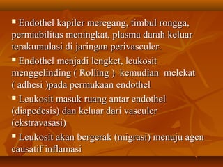  Endothel kapiler meregang, timbul rongga,
permiabilitas meningkat, plasma darah keluar
terakumulasi di jaringan perivasculer.
 Endothel menjadi lengket, leukosit

menggelinding ( Rolling ) kemudian melekat
( adhesi )pada permukaan endothel
 Leukosit masuk ruang antar endothel

(diapedesis) dan keluar dari vasculer
(ekstravasasi)
 Leukosit akan bergerak (migrasi) menuju agen

causatif inflamasi
 
