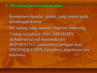 F. Peradangan Granulomatosa

-   Komponen eksudat: granul, yang umum pada
    peradangan kronis
-   Sel radang yang muncul: limfosit, makrofag
-   3 tahap terjadinya: INFLAMATORY
    (kehadiran sel-sel mononuklear)
    REPARATIVE (munculnya jaringan ikat)
    DEGENERATION (terjadinya degenerasi dan
    nekrosis)
 