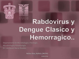 Rabdovirus y Dengue Clasico y Hemorragico.. Departamento de Microbiología y Patología. Microbiología y Parasitología. Dr. Luis Daniel Meraz Rosales. Núñez Díaz, Nallely (MCPA) 210211115 