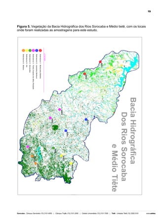 19

Figura 5. Vegetação da Bacia Hidrográfica dos Rios Sorocaba e Médio tietê, com os locais
onde foram realizadas as amostragens para este estudo.

 
