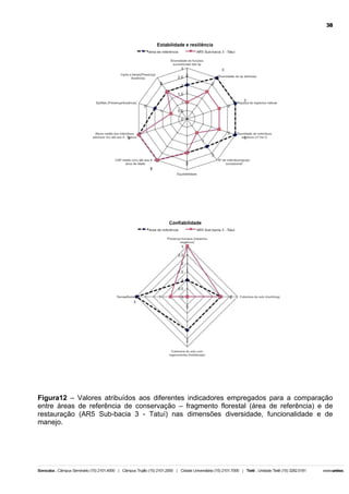 38

Figura12 – Valores atribuídos aos diferentes indicadores empregados para a comparação
entre áreas de referência de conservação – fragmento florestal (área de referência) e de
restauração (AR5 Sub-bacia 3 - Tatuí) nas dimensões diversidade, funcionalidade e de
manejo.

 