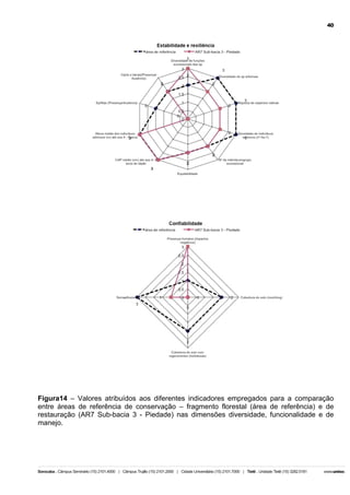 40

Figura14 – Valores atribuídos aos diferentes indicadores empregados para a comparação
entre áreas de referência de conservação – fragmento florestal (área de referência) e de
restauração (AR7 Sub-bacia 3 - Piedade) nas dimensões diversidade, funcionalidade e de
manejo.

 