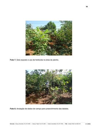 53

Foto 7. Solo exposto e uso de herbicida na área de plantio.

Foto 8. Anotação de dados de campo para preenchimento das tabelas.

 