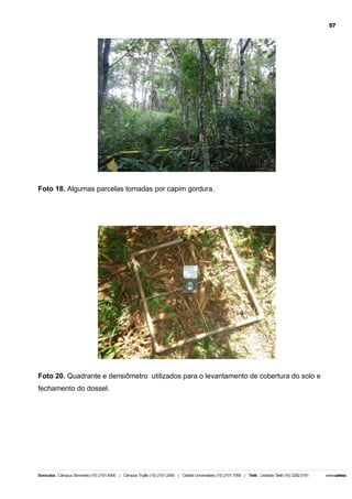 57

Foto 18. Algumas parcelas tomadas por capim gordura.

Foto 20. Quadrante e densiômetro utilizados para o levantamento de cobertura do solo e
fechamento do dossel.

 